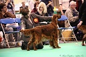 Crufts2011 883